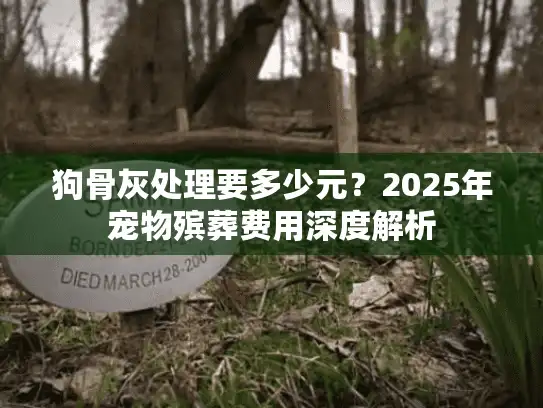狗骨灰处理要多少元？2025年宠物殡葬费用深度解析