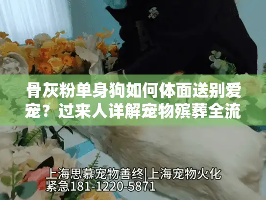 骨灰粉单身狗如何体面送别爱宠？过来人详解宠物殡葬全流程