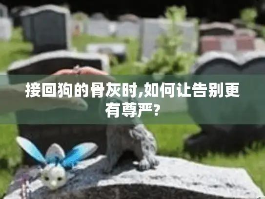 接回狗的骨灰时,如何让告别更有尊严?