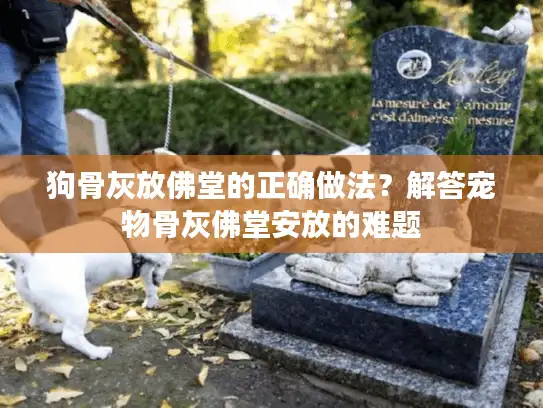 狗骨灰放佛堂的正确做法？解答宠物骨灰佛堂安放的难题
