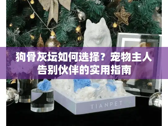 狗骨灰坛如何选择？宠物主人告别伙伴的实用指南
