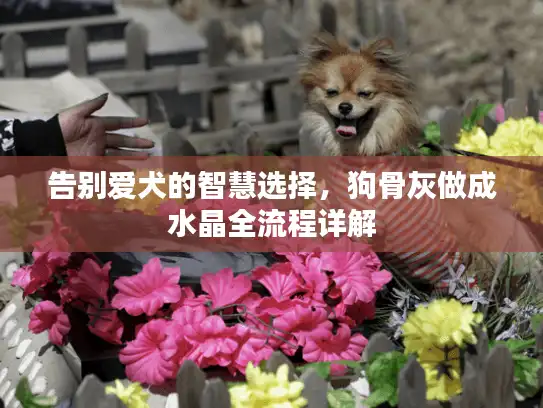 告别爱犬的智慧选择，狗骨灰做成水晶全流程详解