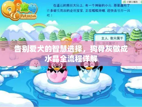 告别爱犬的智慧选择，狗骨灰做成水晶全流程详解