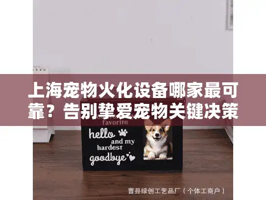 上海宠物火化设备哪家最可靠？告别挚爱宠物关键决策指南