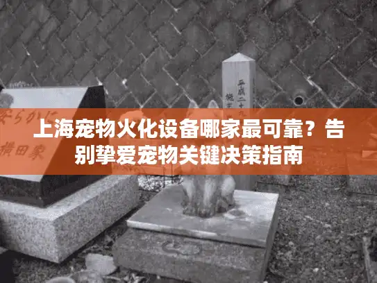 上海宠物火化设备哪家最可靠？告别挚爱宠物关键决策指南