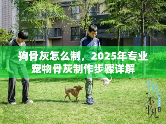 狗骨灰怎么制，2025年专业宠物骨灰制作步骤详解