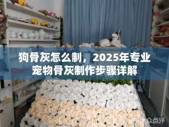 狗骨灰怎么制，2025年专业宠物骨灰制作步骤详解