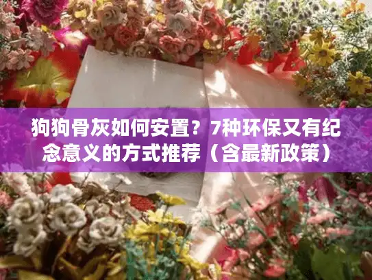 狗狗骨灰如何安置？7种环保又有纪念意义的方式推荐（含最新政策）