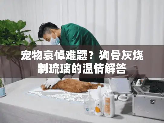 宠物哀悼难题？狗骨灰烧制琉璃的温情解答