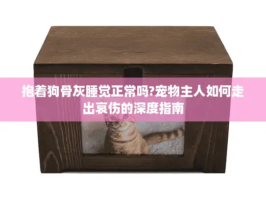 抱着狗骨灰睡觉正常吗?宠物主人如何走出哀伤的深度指南