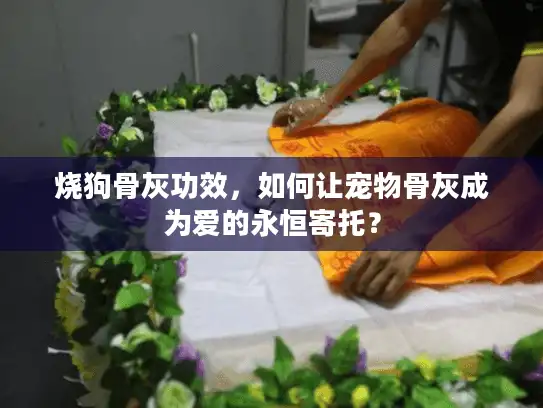 烧狗骨灰功效，如何让宠物骨灰成为爱的永恒寄托？