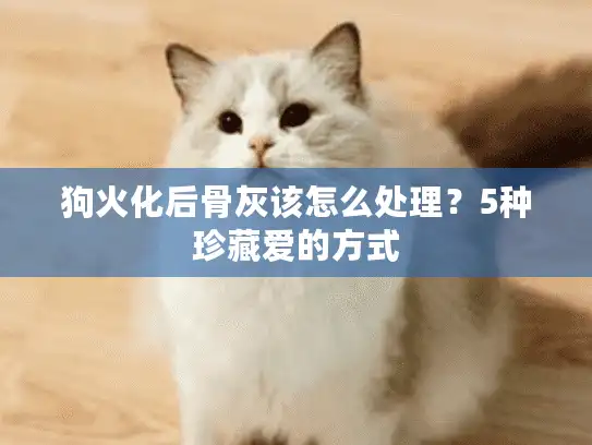 狗火化后骨灰该怎么处理？5种珍藏爱的方式