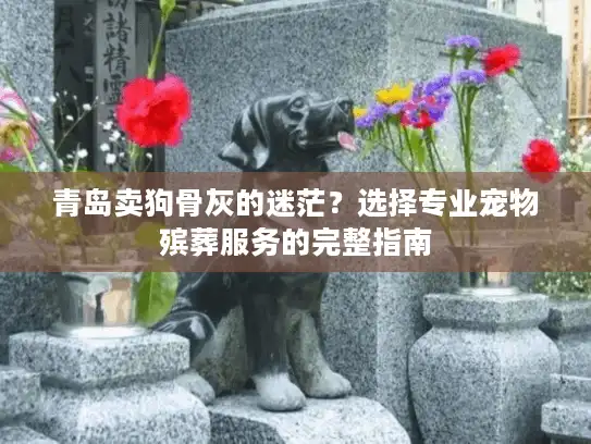 青岛卖狗骨灰的迷茫？选择专业宠物殡葬服务的完整指南
