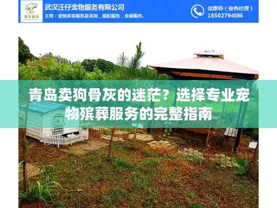 青岛卖狗骨灰的迷茫？选择专业宠物殡葬服务的完整指南