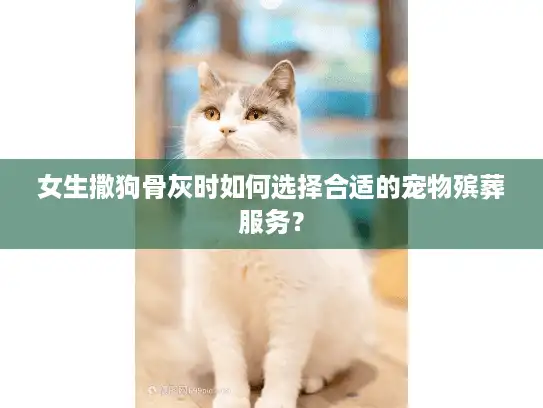 女生撒狗骨灰时如何选择合适的宠物殡葬服务？