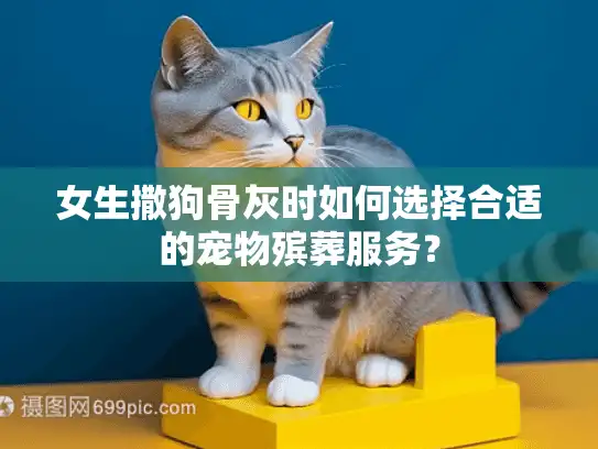 女生撒狗骨灰时如何选择合适的宠物殡葬服务？