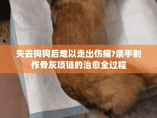 失去狗狗后难以走出伤痛?亲手制作骨灰项链的治愈全过程