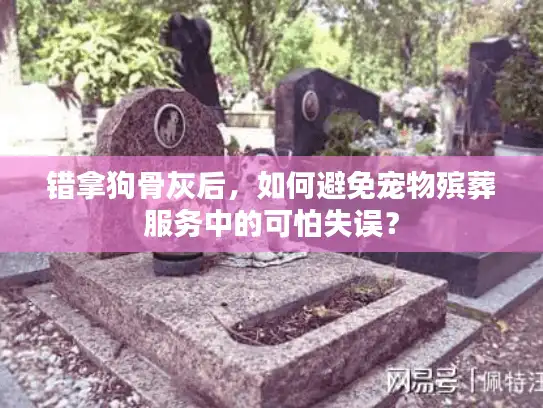 错拿狗骨灰后，如何避免宠物殡葬服务中的可怕失误？