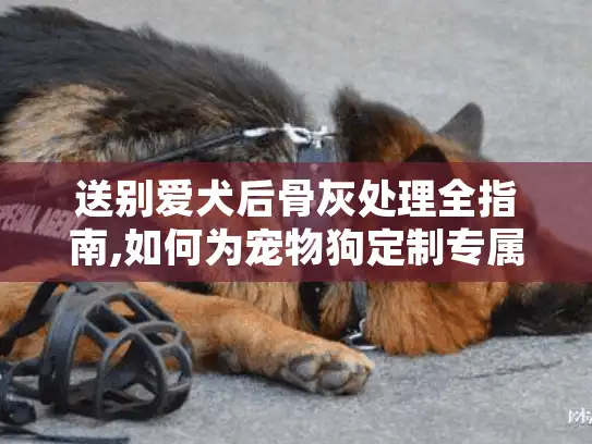 送别爱犬后骨灰处理全指南,如何为宠物狗定制专属告别仪式?