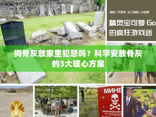 狗骨灰放家里犯忌吗？科学安放骨灰的3大暖心方案
