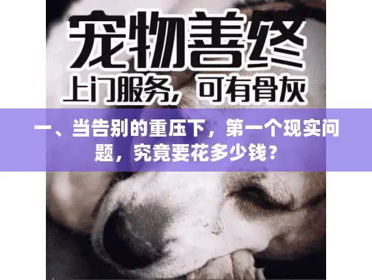 一、当告别的重压下，第一个现实问题，究竟要花多少钱？