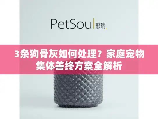 3条狗骨灰如何处理？家庭宠物集体善终方案全解析
