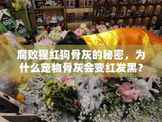 腐败猩红狗骨灰的秘密，为什么宠物骨灰会变红发黑？