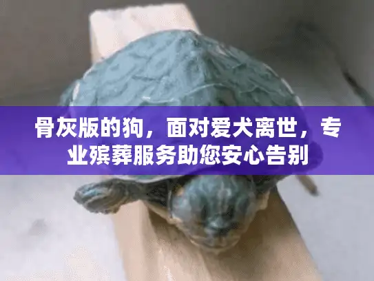 骨灰版的狗，面对爱犬离世，专业殡葬服务助您安心告别