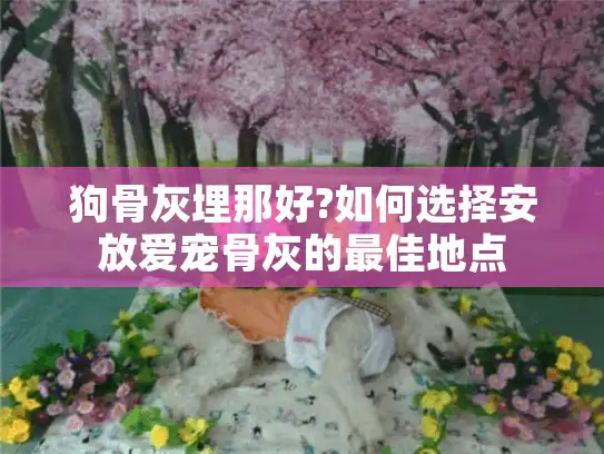 狗骨灰埋那好?如何选择安放爱宠骨灰的最佳地点