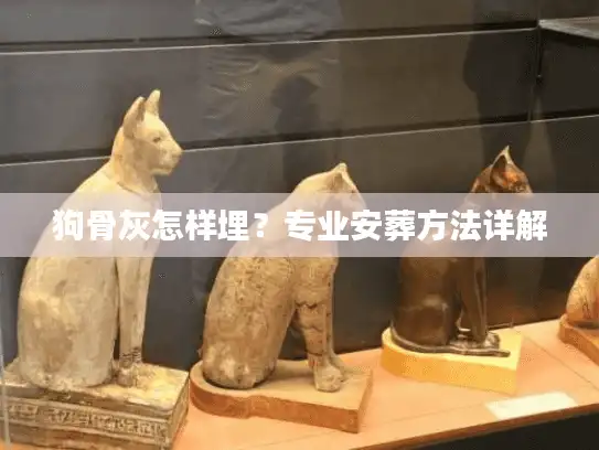狗骨灰怎样埋？专业安葬方法详解