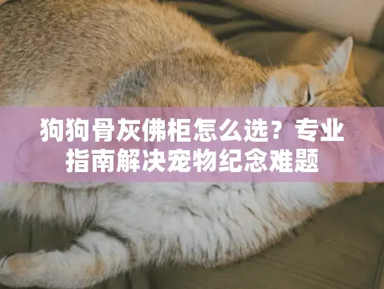 狗狗骨灰佛柜怎么选？专业指南解决宠物纪念难题