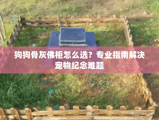 狗狗骨灰佛柜怎么选？专业指南解决宠物纪念难题