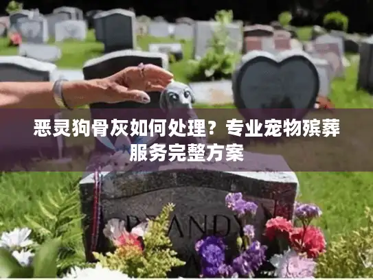 恶灵狗骨灰如何处理？专业宠物殡葬服务完整方案