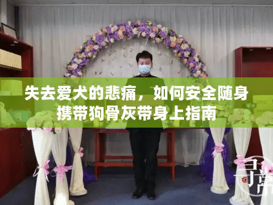 失去爱犬的悲痛，如何安全随身携带狗骨灰带身上指南