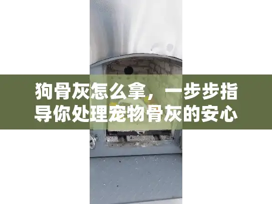 狗骨灰怎么拿，一步步指导你处理宠物骨灰的安心方案