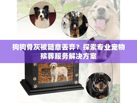 狗狗骨灰被随意丢弃？探索专业宠物殡葬服务解决方案