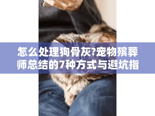 怎么处理狗骨灰?宠物殡葬师总结的7种方式与避坑指南