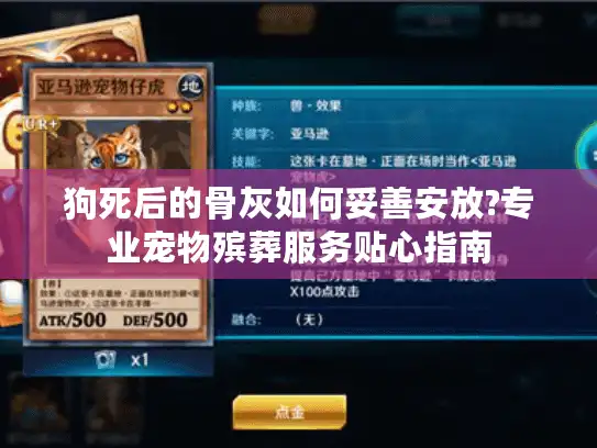 狗死后的骨灰如何妥善安放?专业宠物殡葬服务贴心指南