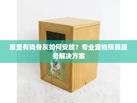 家里有狗骨灰如何安放？专业宠物殡葬服务解决方案