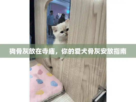 狗骨灰放在寺庙，你的爱犬骨灰安放指南