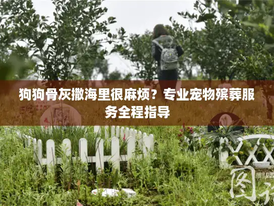 狗狗骨灰撒海里很麻烦？专业宠物殡葬服务全程指导