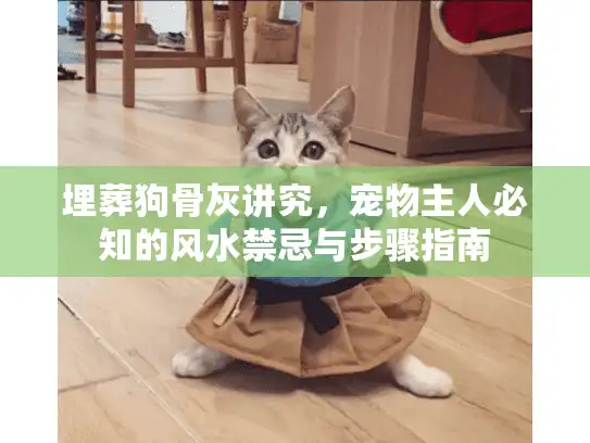 埋葬狗骨灰讲究，宠物主人必知的风水禁忌与步骤指南