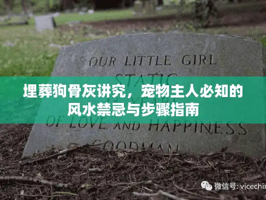 埋葬狗骨灰讲究，宠物主人必知的风水禁忌与步骤指南