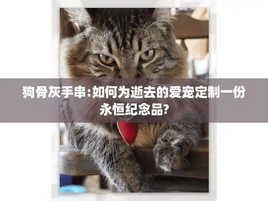 狗骨灰手串:如何为逝去的爱宠定制一份永恒纪念品?
