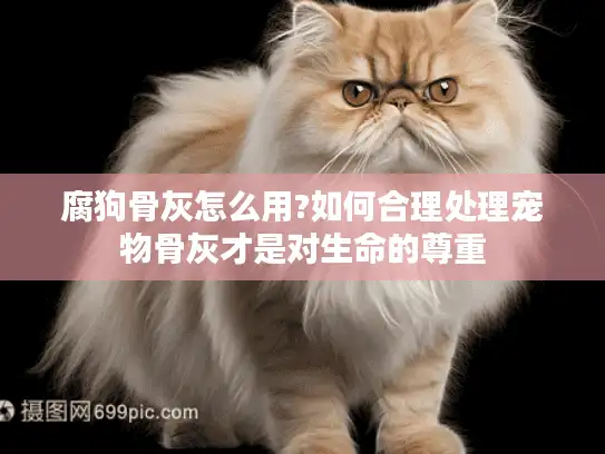 腐狗骨灰怎么用?如何合理处理宠物骨灰才是对生命的尊重