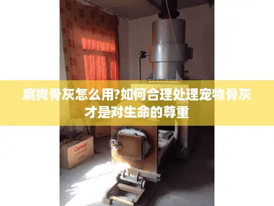 腐狗骨灰怎么用?如何合理处理宠物骨灰才是对生命的尊重