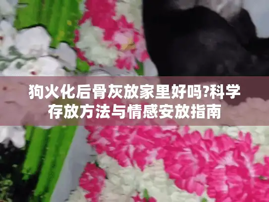 狗火化后骨灰放家里好吗?科学存放方法与情感安放指南