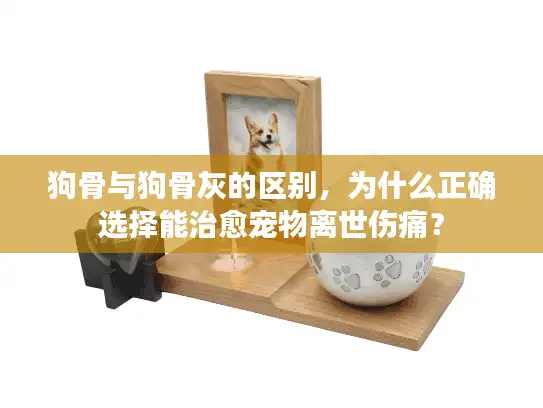 狗骨与狗骨灰的区别，为什么正确选择能治愈宠物离世伤痛？