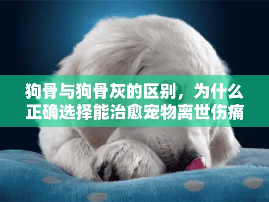 狗骨与狗骨灰的区别，为什么正确选择能治愈宠物离世伤痛？