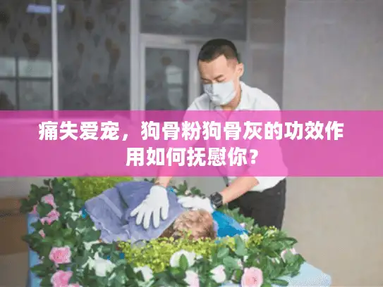 痛失爱宠，狗骨粉狗骨灰的功效作用如何抚慰你？